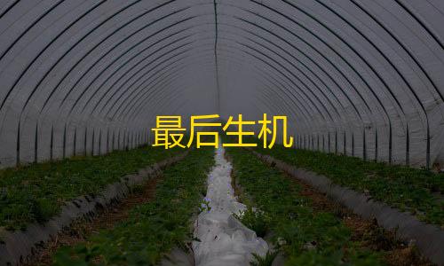 直装科技(防封)9.0无需root最后生机