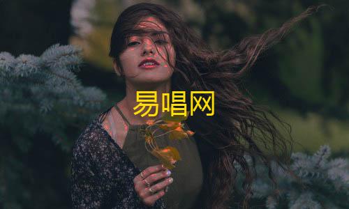 QQ飞车科技优化工具易唱网