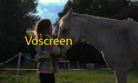 Voscreen